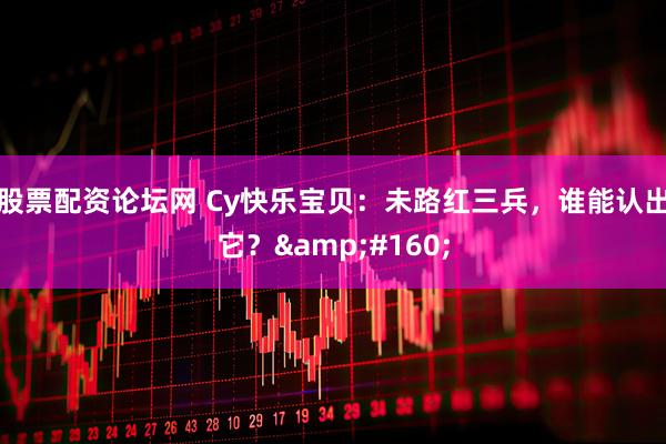 股票配资论坛网 Cy快乐宝贝：未路红三兵，谁能认出它？ 